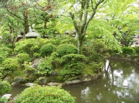 Le jardin Saiho-ji